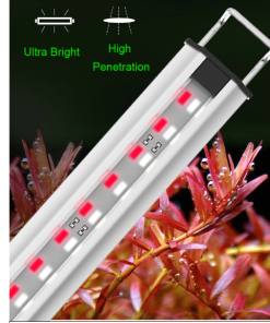 40-120 ס"מ תאורה זטלייט מתוקים ומלוחים Zetlight ZP2000