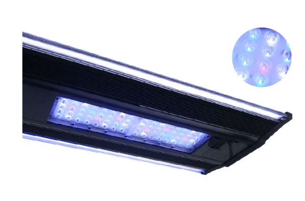 מלוחיםצימחיה קיומבן 2 – ZetLight Qmaven 2 ZT6500 90W כ60-100 ס"מ – תמונה 2
