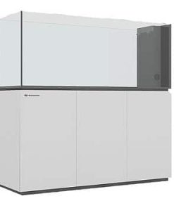נפטוניאן קיוב פנינסולה Neptunian Cube Peninsula P150 White