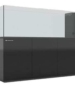 נפטוניאן קיוב פנינסולה Neptunian Cube Peninsula P180 Black