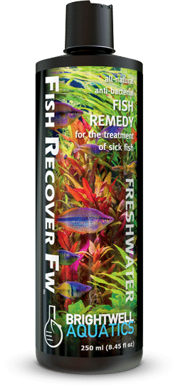 Brightwell fish recover fw – תמונה 3