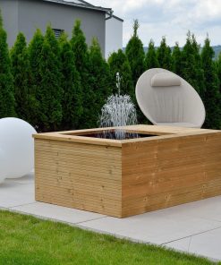 אהיים בריכת נוי פטיו EHEIM PATIO