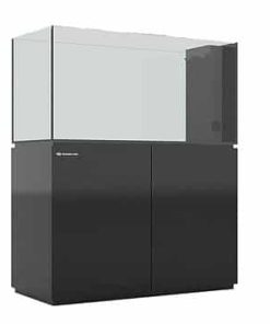 נפטוניאן קיוב פנינסולה Neptunian Cube Peninsula P120 Black