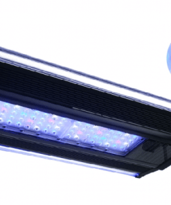 Alternative view of מלוחיםצימחיהקיומבן 2 – ZetLight Qmaven 2 ZT6600 160W כ90-120 ס"מ
