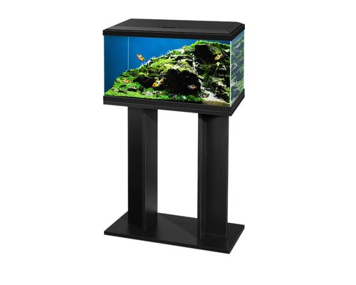 ציאנו אקווריום 60 ס"מ דגם - אקווה / Ciano aquarium AQUA – תמונה 2